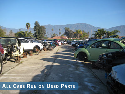 VW Salvage Yard